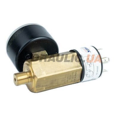 Регулятор давления механический DSM Y A4 DAC 001,3Y 0,2-2 бар, манометр &Oslash;40, G1/8&Prime; | Pnomek, Турция