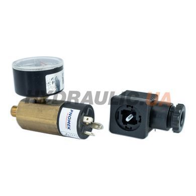 Регулятор давления механический DSM Y A4 DAC 001,3Y 0,2-2 бар, манометр &Oslash;40, G1/8&Prime; | Pnomek, Турция