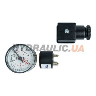 Регулятор давления механический DSM Y A4 DAC 001,3Y 0,2-2 бар, манометр &Oslash;40, G1/8&Prime; | Pnomek, Турция