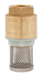 Клапан обратный латунный (клапан-пластик) с сетчатым фильтром с внутренней резьбой G 1" F | ITAP YORK Ду 25