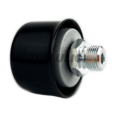 Фільтр-сапун TSA50-38 500 л/хв, G 3/8" BSP | OMT Італія
