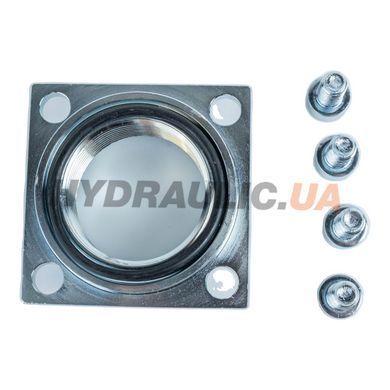 Фітинг всмоктувальний SF50404 фланцевий G1&frac14;&Prime; 80 л/хв Sunfab, Швеція