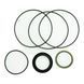Ремкомплект (KIT) уплотнений для гидромоторов RW/RL ser.3 SK4151259600 | M+S Hydraulic, Болгария