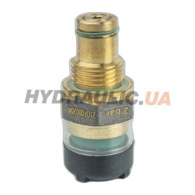 Индикатор загрязненности визуальный DVA95VP01 9.5 Бар для фильтров серий:FMP/FHP/FMM/FHA/FHM/FHB/FHF/FHD | MPFiltri Италия