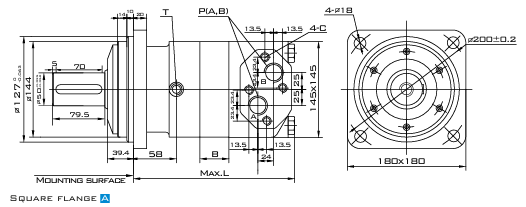 Габаритный чертёж гидромотора Mozioni BM5U-315PAY/T7
