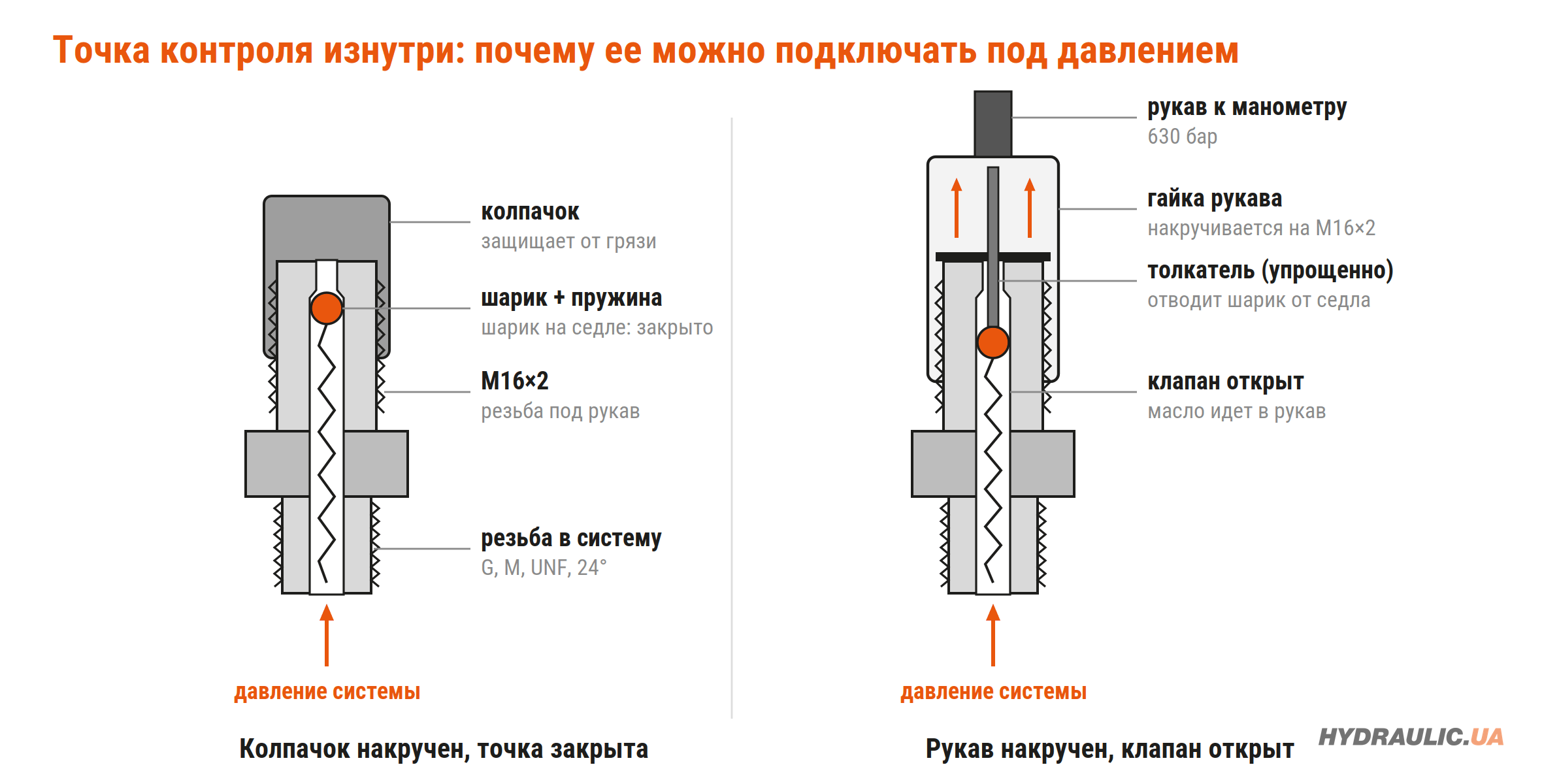 Разрез точки контроля M16×2: шариковый обратный клапан закрыт под колпачком и открыт муфтой рукава